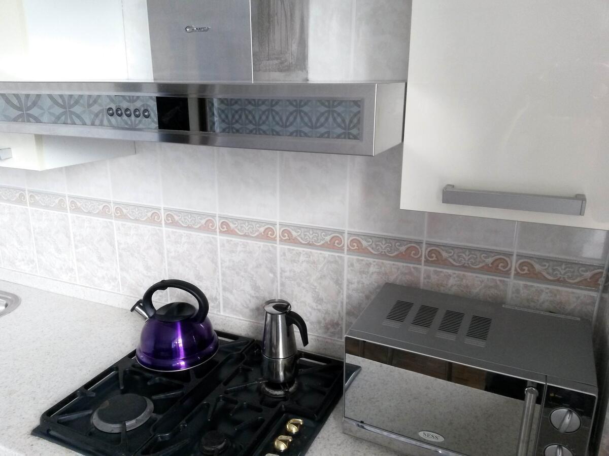 Картина горных вершин Квартира- Mountain view Apartment Алматы Экстерьер фото