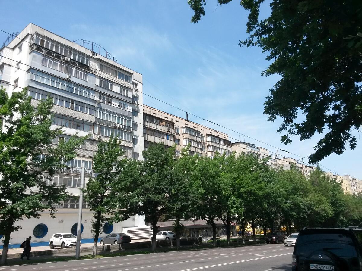 Картина горных вершин Квартира- Mountain view Apartment Алматы Экстерьер фото